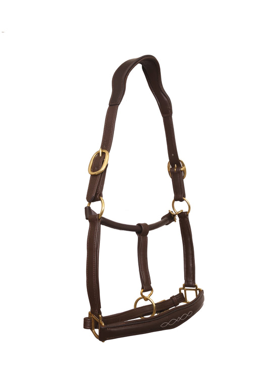INDIANA RAISED FANCY STITCHED SOFT PADDED HALTER