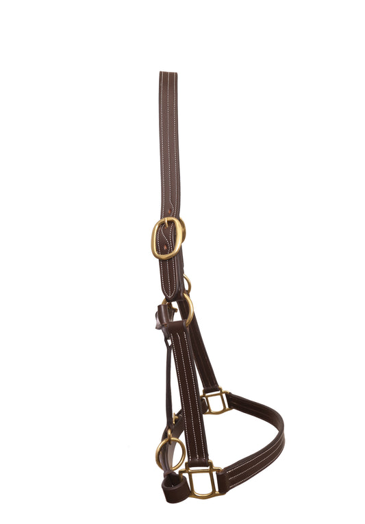 INDIANA TRIPLE STITCHED HALTERS