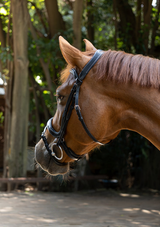 Indiana Anatomical Relief Bridle W/T rubber reins