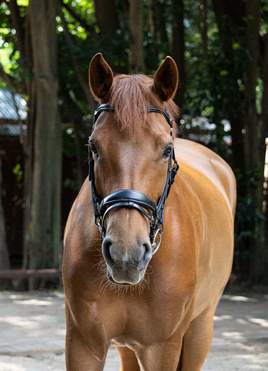 Indiana Anatomical Relief Bridle W/T rubber reins