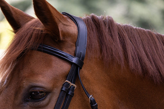 Indiana raised padded snaffle Bridle