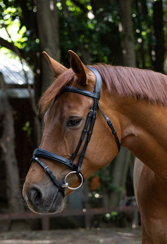 Plain Anatomical bridle w/t Rubber reins