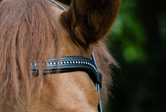 Indiana show Bridle W/T rubber reins