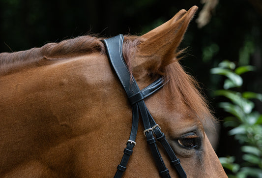 Raised fancy stitch bridle w/t Sure Grip reins