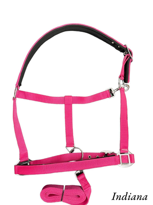 INDIANA NYLON HALTER W/T LEAD