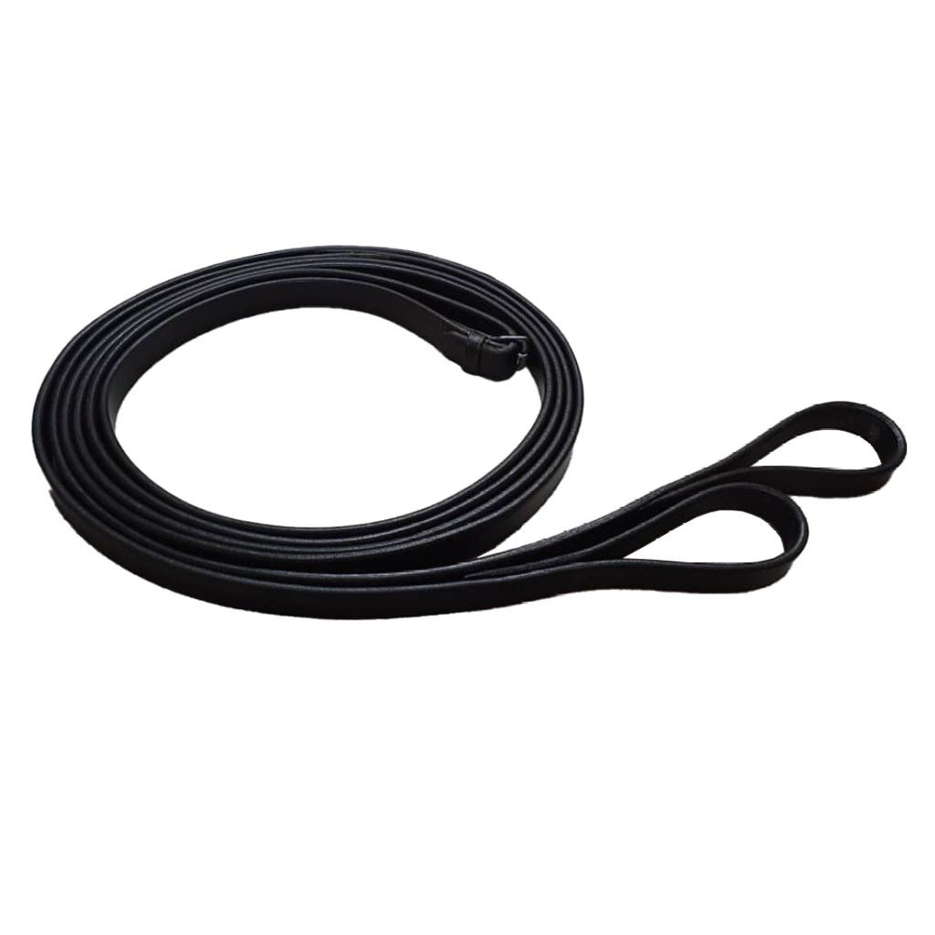 Reins
