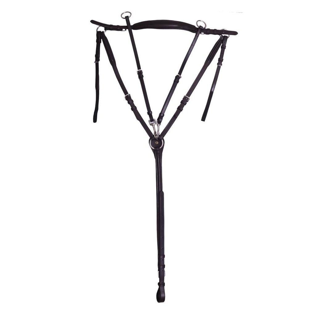 Martingale & breastplates