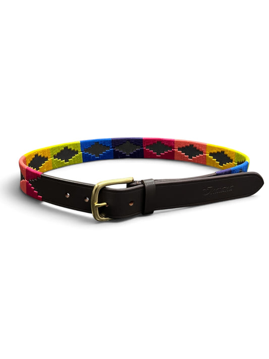 INDIANA ARGENTINIAN  RAINBOW POLO BELT