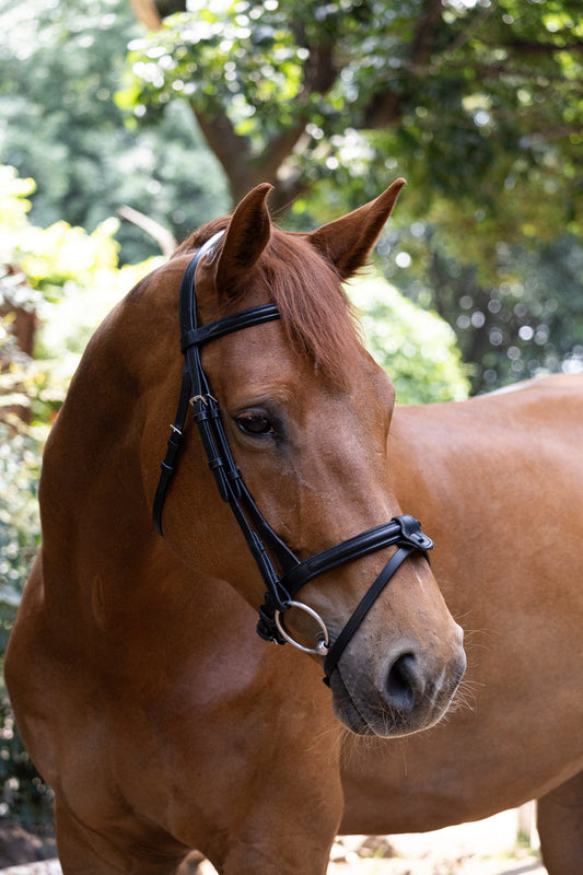 Indiana  raised padded snaffle Bridle