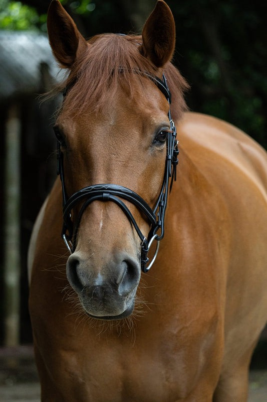 Raised fancy stitch bridle w/t Sure Grip reins