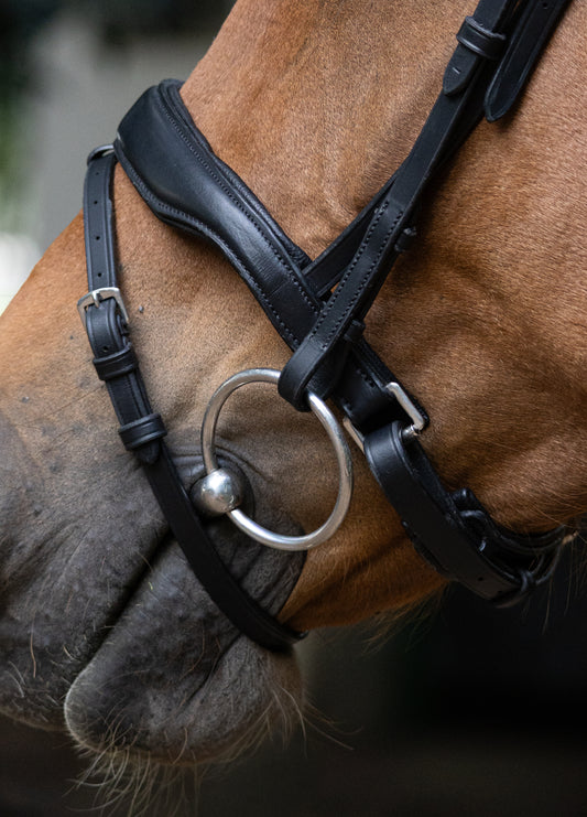 Indiana Pixel Bridle with Rubber reins.