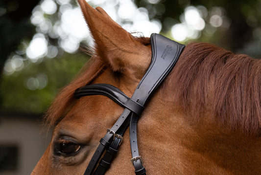Indiana Pixel Bridle with Rubber reins.